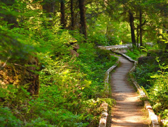 Отель Sol Duc Hot Springs Порт-Анджелес Экстерьер фото