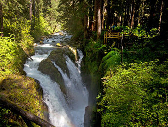 Отель Sol Duc Hot Springs Порт-Анджелес Экстерьер фото